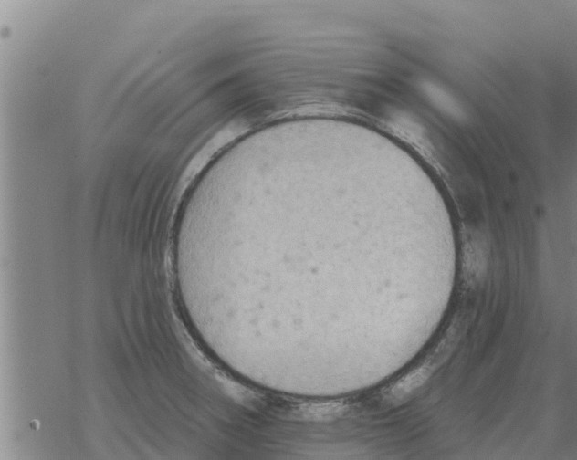 X0000068741282200605262041