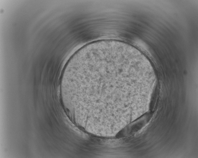 X0000068741284200605262041