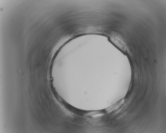 X0000068741285200605262041