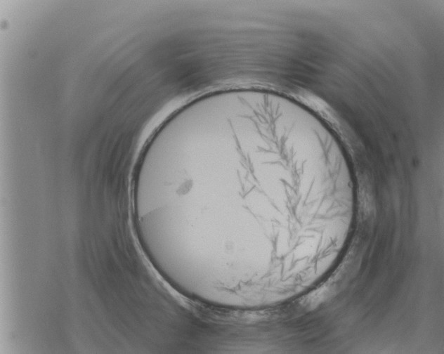 X0000068741286200605262041