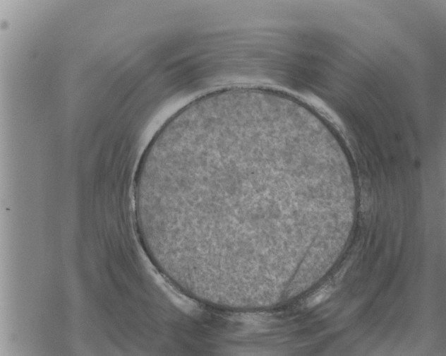 X0000068741287200605262041