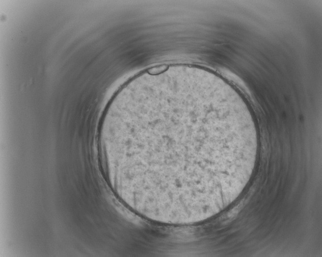 X0000068741288200605262041