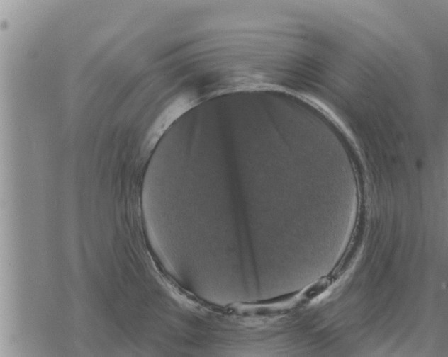 X0000068741289200605262041