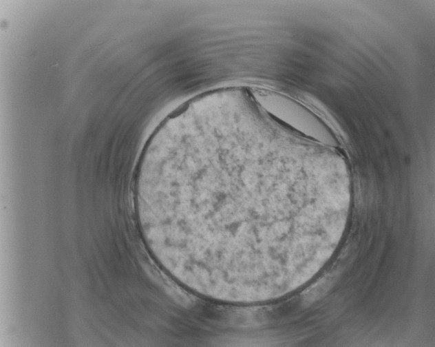 X0000068741292200605262041