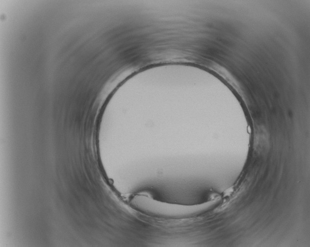 X0000068741293200605262041