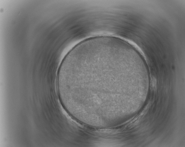 X0000068741295200605262041