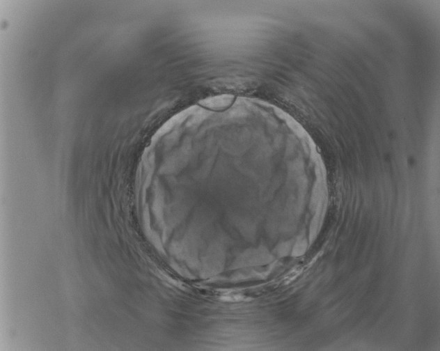 X0000068741297200605262040