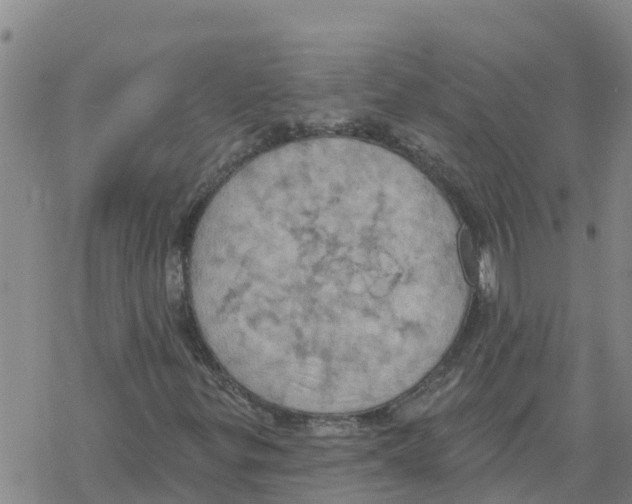 X0000068741299200605262040