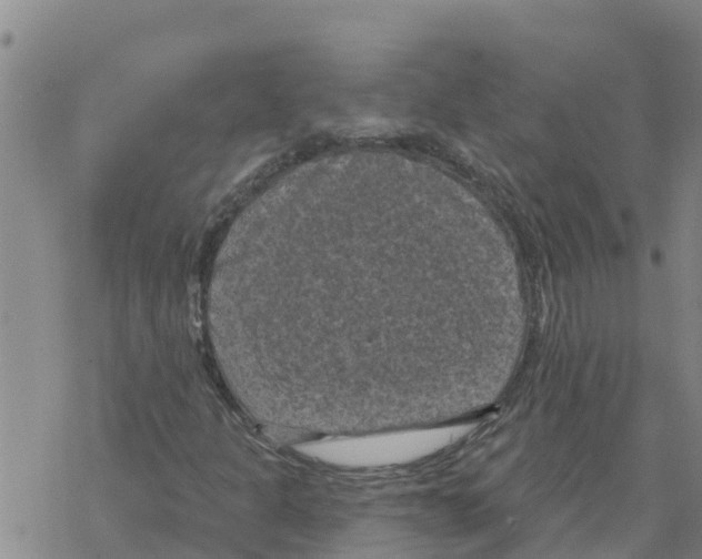 X0000068741301200605262040