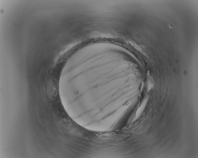 X0000068741303200605262040