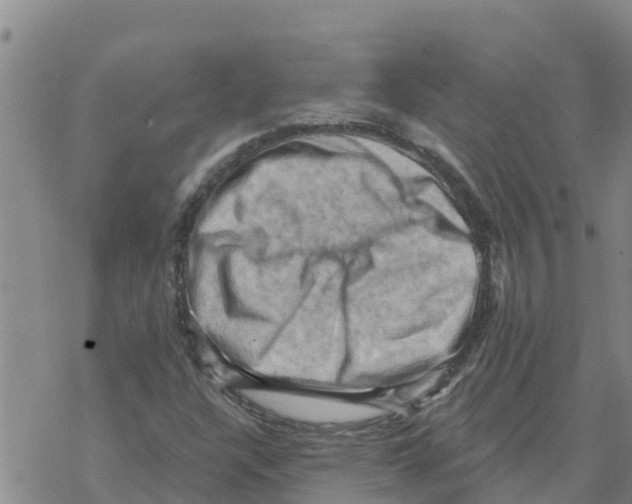 X0000068741304200605262041