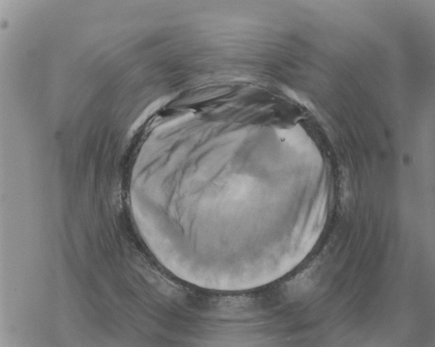 X0000068741306200605262041