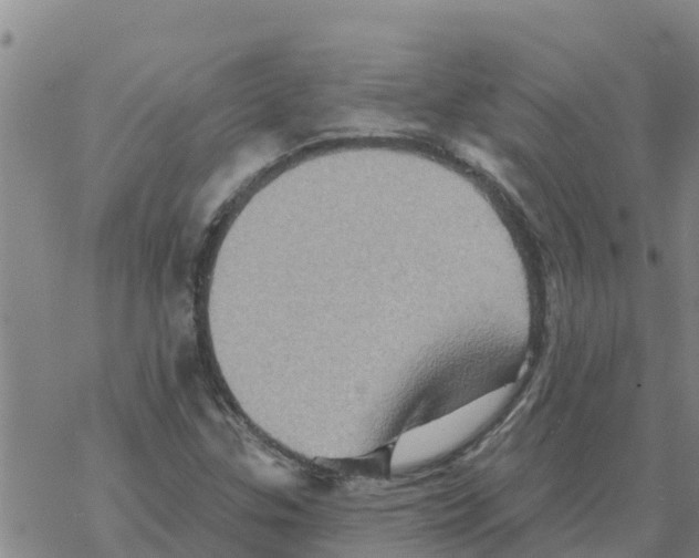 X0000068741307200605262041