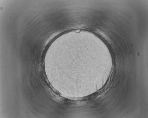 X0000068741308200605262041