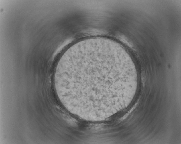 X0000068741309200605262041