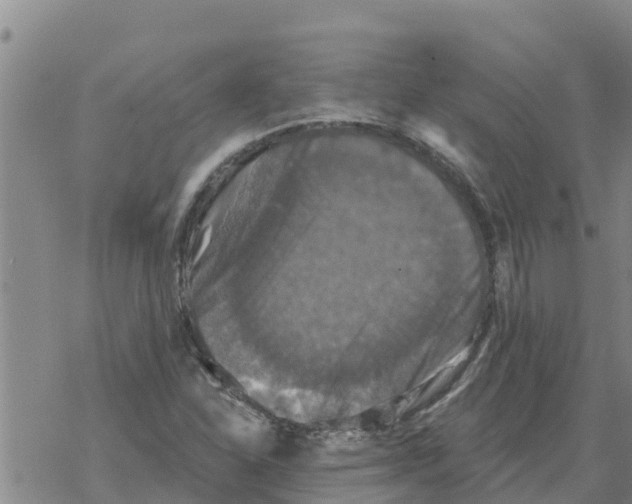 X0000068741310200605262041