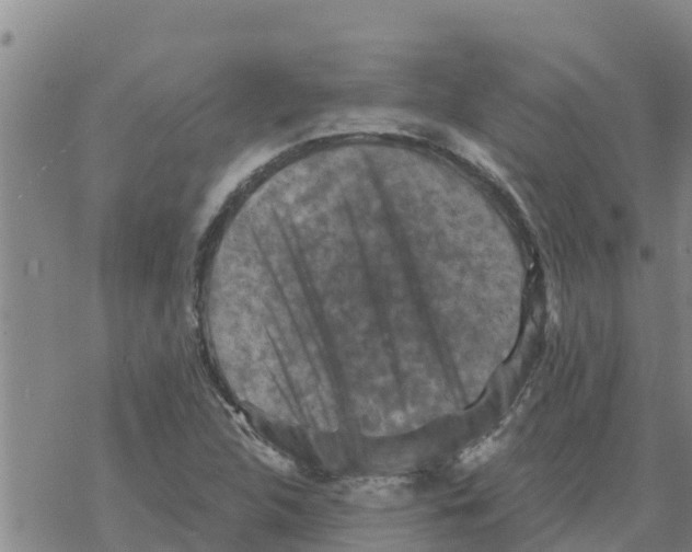 X0000068741312200605262041