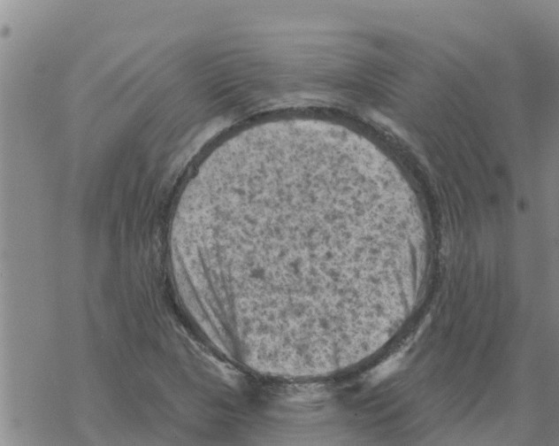 X0000068741313200605262041