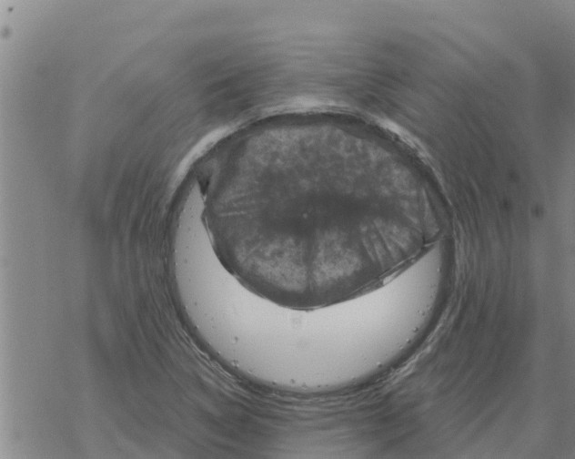 X0000068741314200605262041