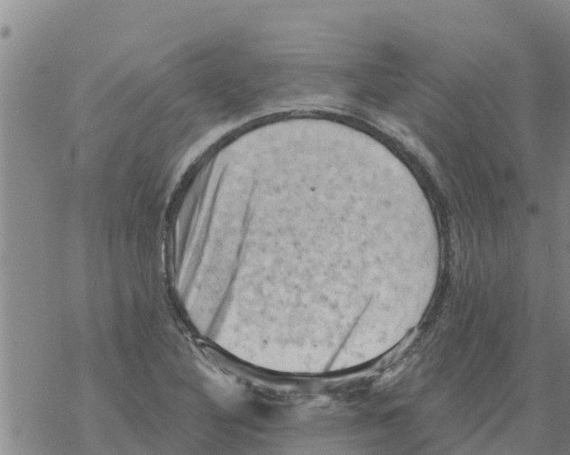 X0000068741316200605262041