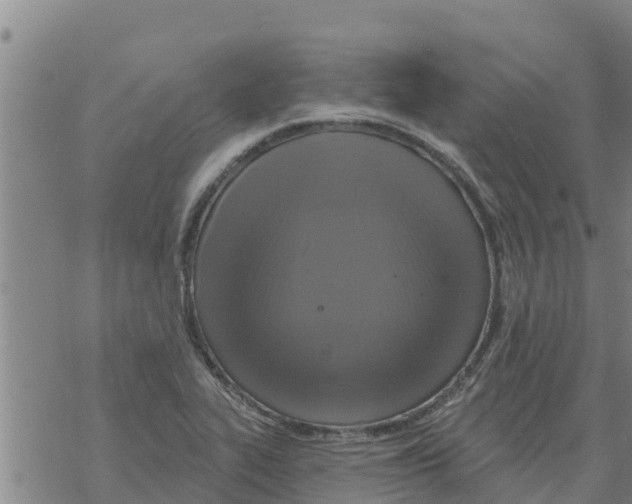 X0000068741319200605262041