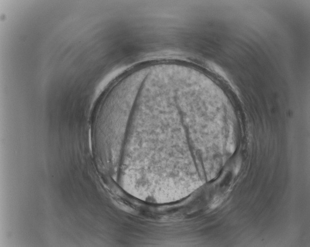 X0000068741320200605262041