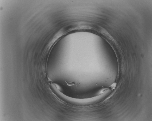 X0000068741321200605262041