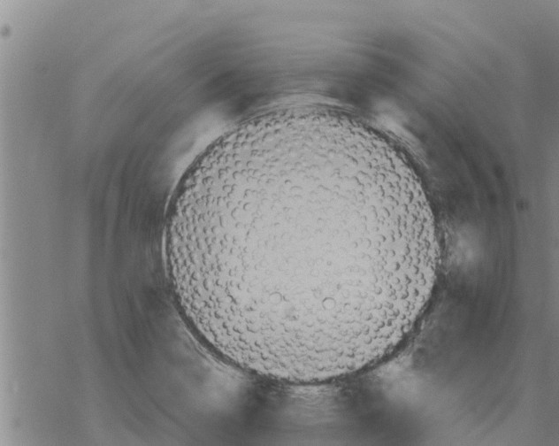 X0000068741322200605262041