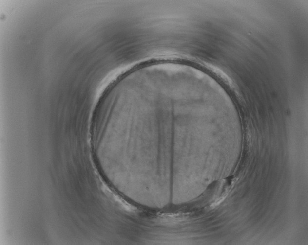 X0000068741327200605262041