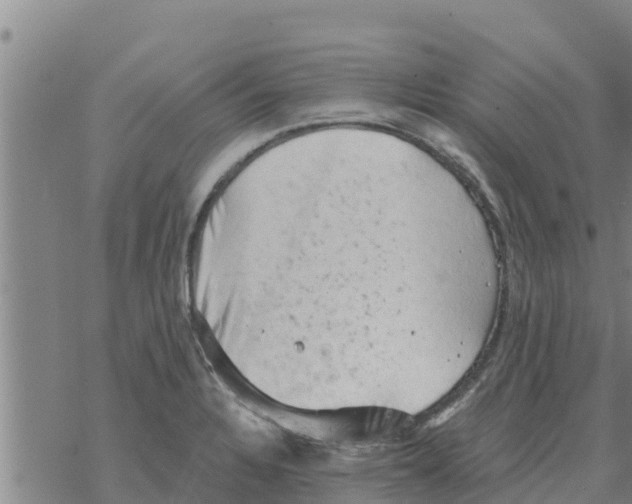 X0000068741328200605262041