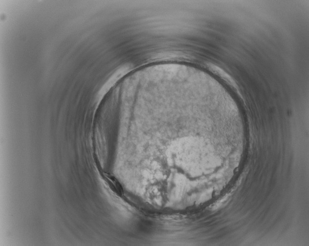 X0000068741330200605262041