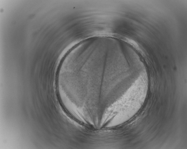 X0000068741331200605262041