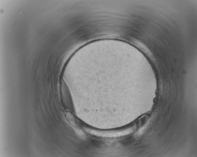 X0000068741332200605262041