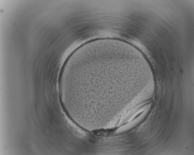 X0000068741335200605262041