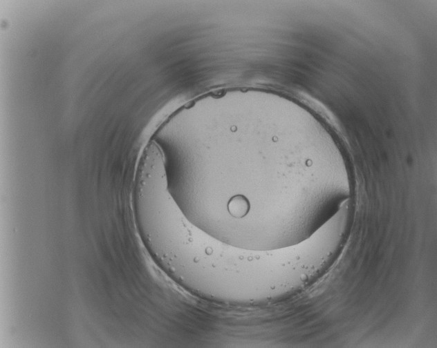 X0000068741338200605262041