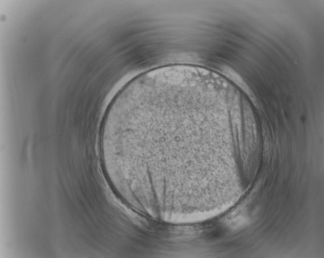 X0000068741339200605262041