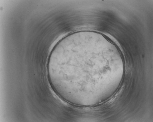 X0000068741341200605262041