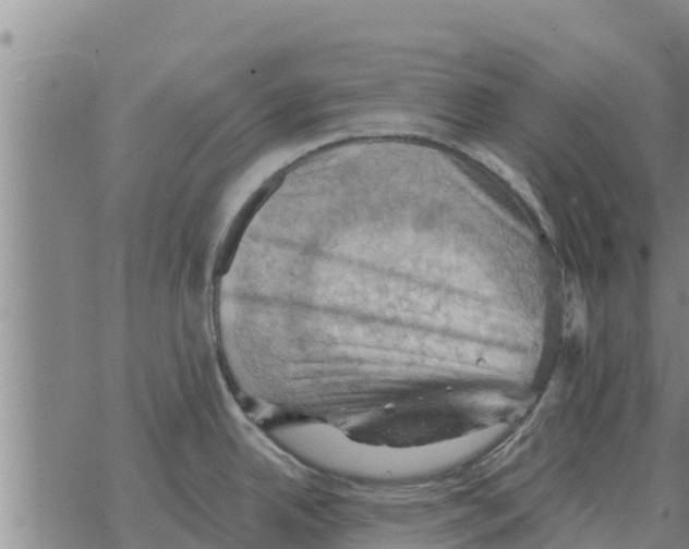 X0000068741342200605262041