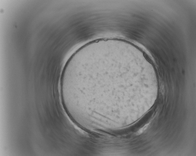 X0000068741343200605262041