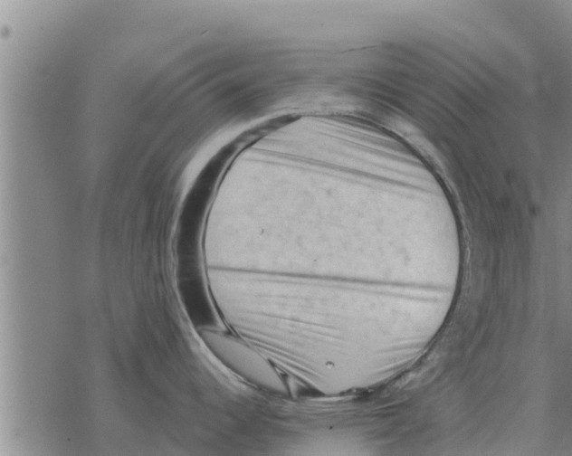 X0000068741344200605262041