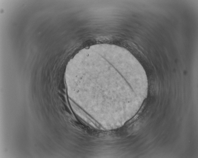 X0000068741345200605262040