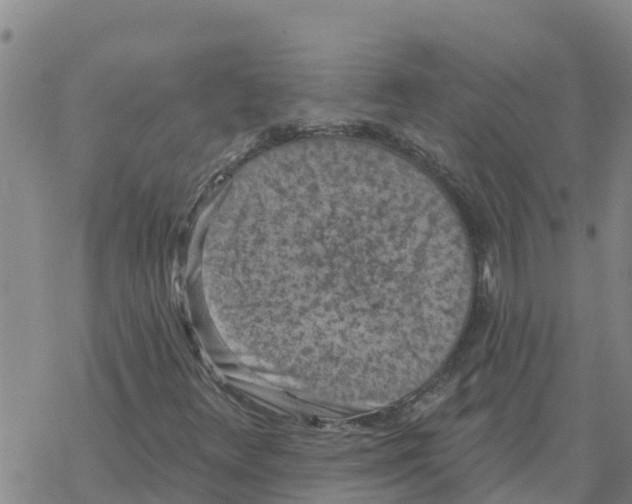 X0000068741348200605262040