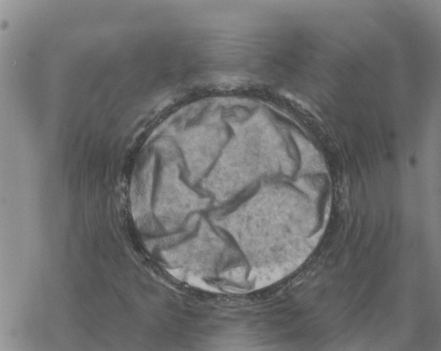 X0000068741349200605262040