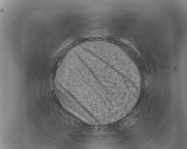 X0000068741350200605262040