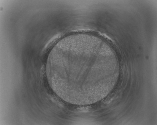 X0000068741351200605262040