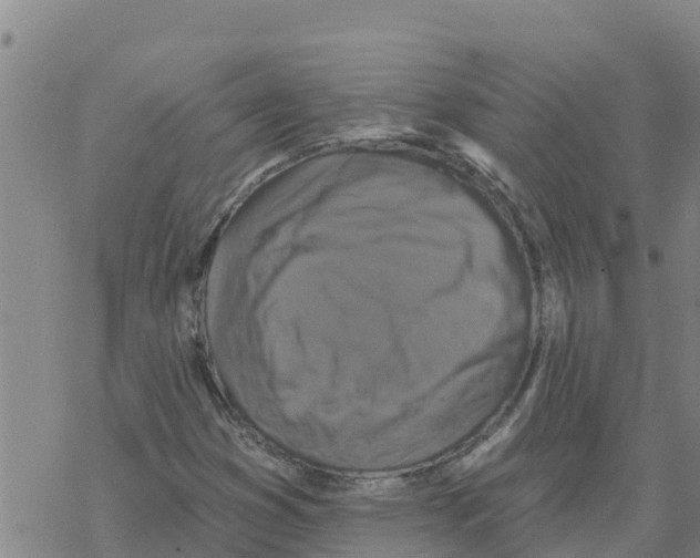 X0000068741353200605262040