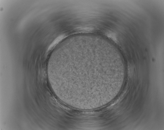 X0000068741354200605262040