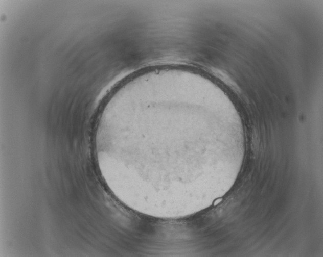 X0000068741356200605262040