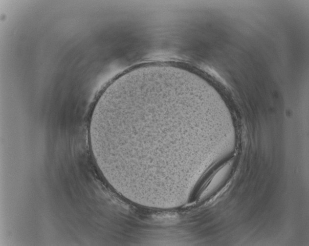 X0000068741358200605262040