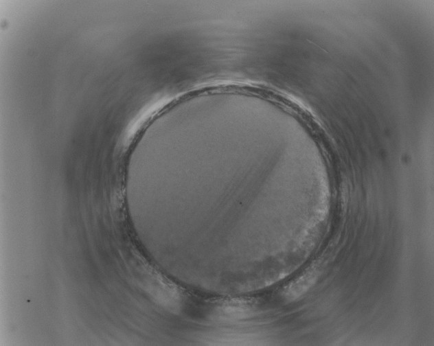 X0000068741359200605262040